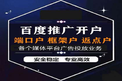 某公司网站sem托管项目纪实